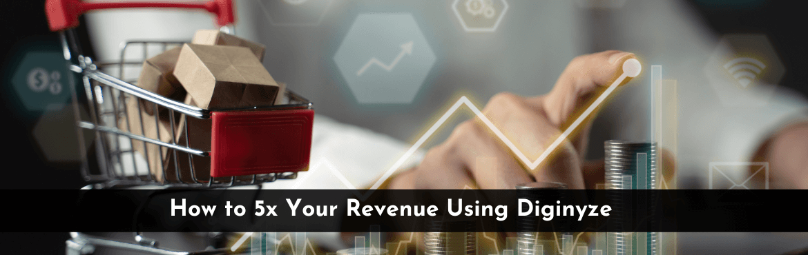 Increase 5x Your Revenue Using Diginyze